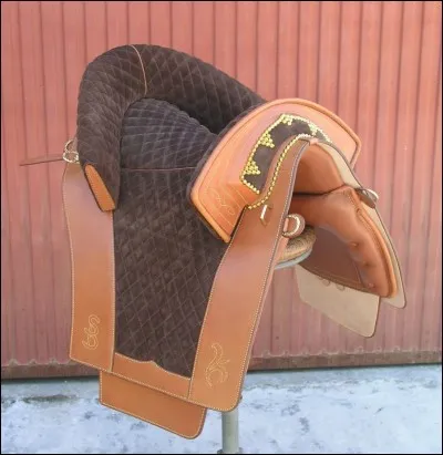 Quels cavaliers se servent de cette selle ?