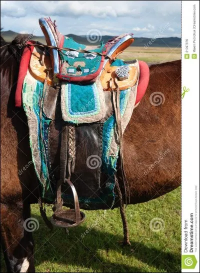 Il fallait une 14e question pour ne pas rester à 13. Dans quel pays devrez-vous aller pour monter sur cette selle ?