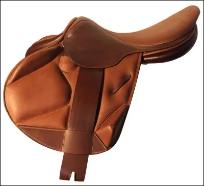 Revenons au classique, quel est l'usage prévu pour cette selle ?