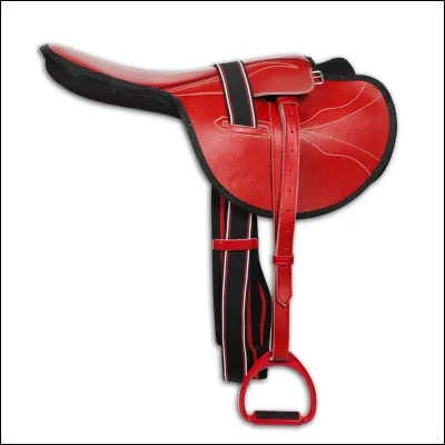 Où allez-vous trouver cette selle ?