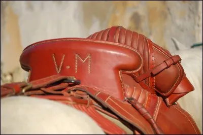 Sur quel cheval mettrez-vous idéalement cette selle?