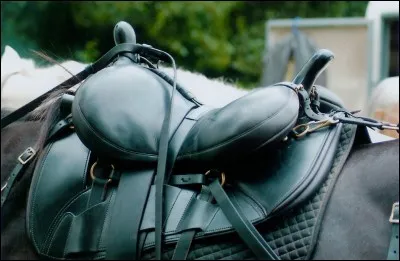 Quelle activité allez-vous réserver à cette selle?