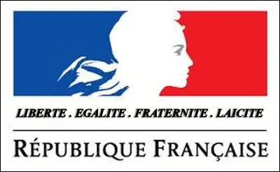 Que pensez-vous du fait d'inscrire dans la Constitution que "La République ne reconnaît aucune communauté" ?
*Interprétez cela comme vous le pouvez.