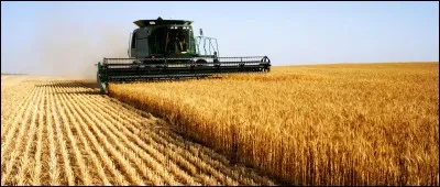 Que pensez-vous du fait de transformer la Politique Agricole Commune en Politique Agricole Française ?
*PAC = politique mise en place par l'Union européenne.