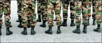 Que pensez-vous de créer un service militaire obligatoire et universel d'un mois pour filles et garçons ?