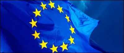 Que pensez-vous du fait de négocier avec les partenaires européens puis organiser un référendum sur la sortie de la France de l'Union européenne ?
*référendum = vote du peuple par oui ou par non.