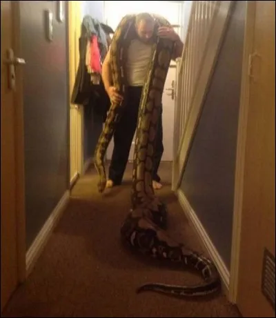 Trouvez le titre d'une chanson de Régine !