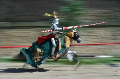 Lequel porte un chanfrein protégeant la tête ?