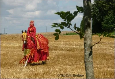 Que recouvrent les solerets ?