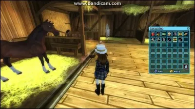 Où est l'écurie de départ ?