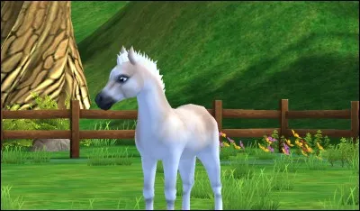 Qui dirige l'écurie de Moorland ?