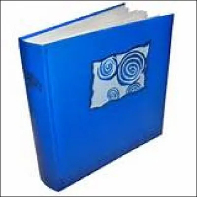 Combien de pages contient l'album-photos du blog ?