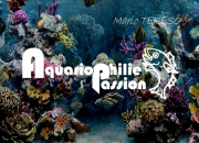 Quiz Aquariophilie Passion