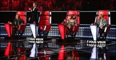 Aimes-tu "The Voice" ?