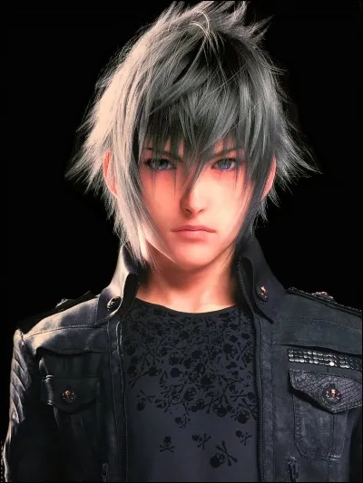 Quel est le nom complet de Noctis ?