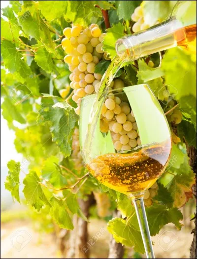 On ne peut faire du vin blanc qu'avec des raisins blancs.