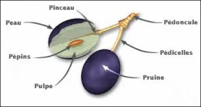 Tout n'est pas naturellement présent dans un grain de raisin pour faire du vin, il faut mettre des intrants.