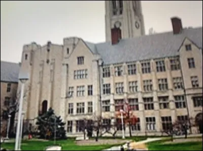 Quelle est l'&eacute;cole de Luna ?