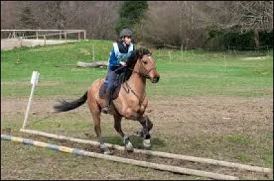 Comment s'appelle cet obstacle ?