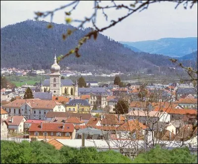 La ville de Remiremont dont la spécialité est un petit gâteau en pain d'épices appelé nonnette est située dans :