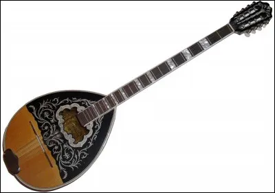 Comment se nomme cet instrument de musique ?