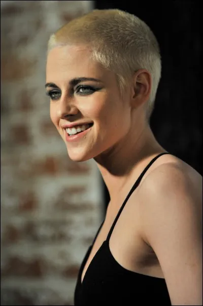 En 2017, pour quel groupe de musique a-t-elle réalisé un clip ?