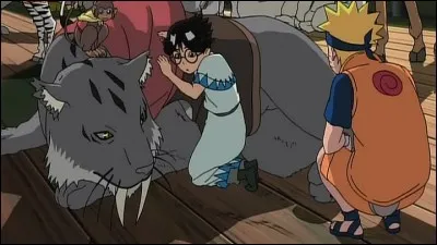 Comment se nomme le tigre à dents de sabre ?