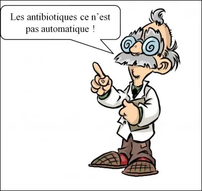Quelles sont les deux lignes de métro où le métro est automatique ?