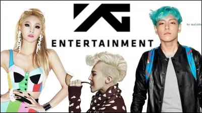 Par qui sont-ils produits ?