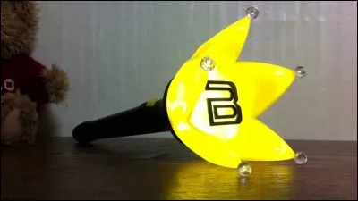 Comment appelle-t-on un fan de BIGBANG ?