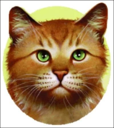 Comment Plume de flamme est-il mort ?