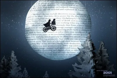 Si tu devais choisir un film, lequel serait-ce ?