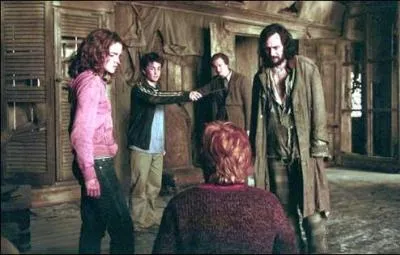 Cette image, est-elle la premire, deuxime, troisime, quatrime ou cinquime  apparatre dans le film parmi ces 5 images ?