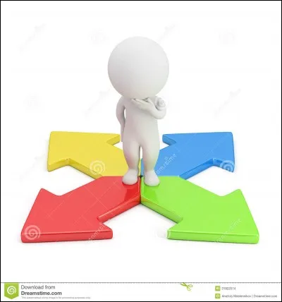 Quelle direction va prendre le muscle pour atteindre son autre insertion (sa terminaison) ?