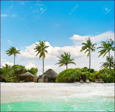 Aimerais-tu vivre sur une île ?