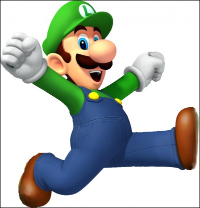 Ce personnage est le frère de Mario, il s'appelle :