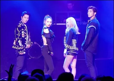 De quel groupe Somin faisait-elle partie ?