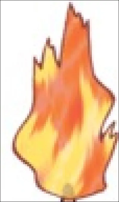 Quel est ce Pokémon ?