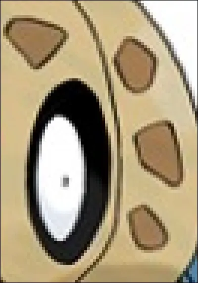 Quel est ce Pokémon ?