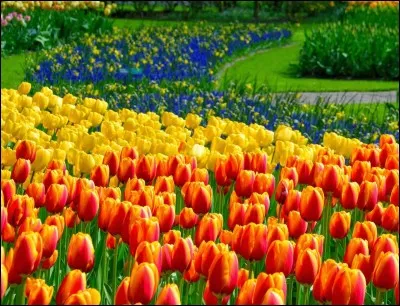 Quelle est la capitale des Pays-Bas ?