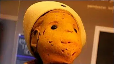 L'histoire de cette poupée, qui détient une terrible réputation, a inspiré le film à succès « Kids Play » (Jeu d'enfant). Aujourd'hui, elle est exposée dans le musée Key West Martello et reçoit un très grand nombre de visites de la part des amateurs du paranormal. 
Identifiez cette poupée.