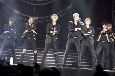 Si tu étais dans un groupe de K-pop, quelle place la plus importante voudrais-tu avoir ?