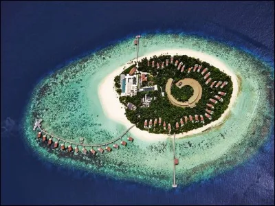 Travailler en perruque !