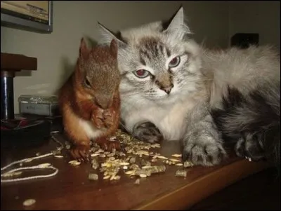 Vous êtes né(e) coiffé(e) !