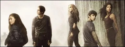 Quelle est cette série ?