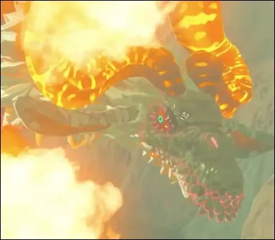 Comment se nomme ce dragon ?
