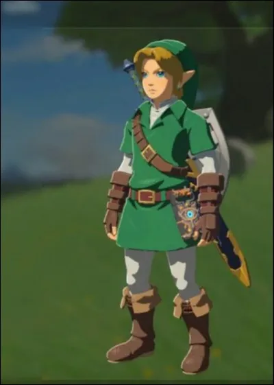 En quel Link celui présenté sur la photo est-il déguisé ?