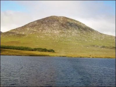 Les langues suivantes font partie d'une même famille linguistique, sauf une. Quel est l'intrus ?
