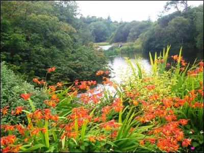 Parmi les propositions suivantes, laquelle ne désigne pas une langue nationale d'un pays d'Europe (je parle de la "grande Europe", et pas de l'UE) ?