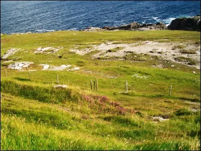 Le nom flamand de "Dunkerque" est "Duinkerke". Si vous parlez néerlandais, vous saurez donc qu'étymologiquement, "Dunkerque" signifie...
